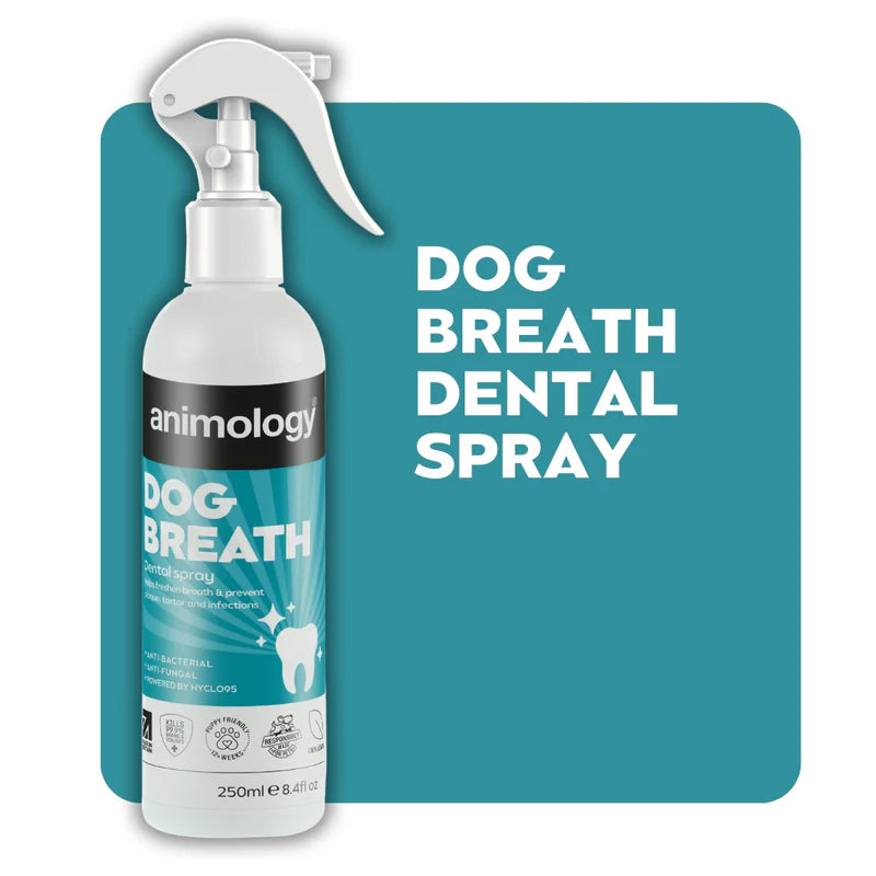 Animology Breath & Dental Spray