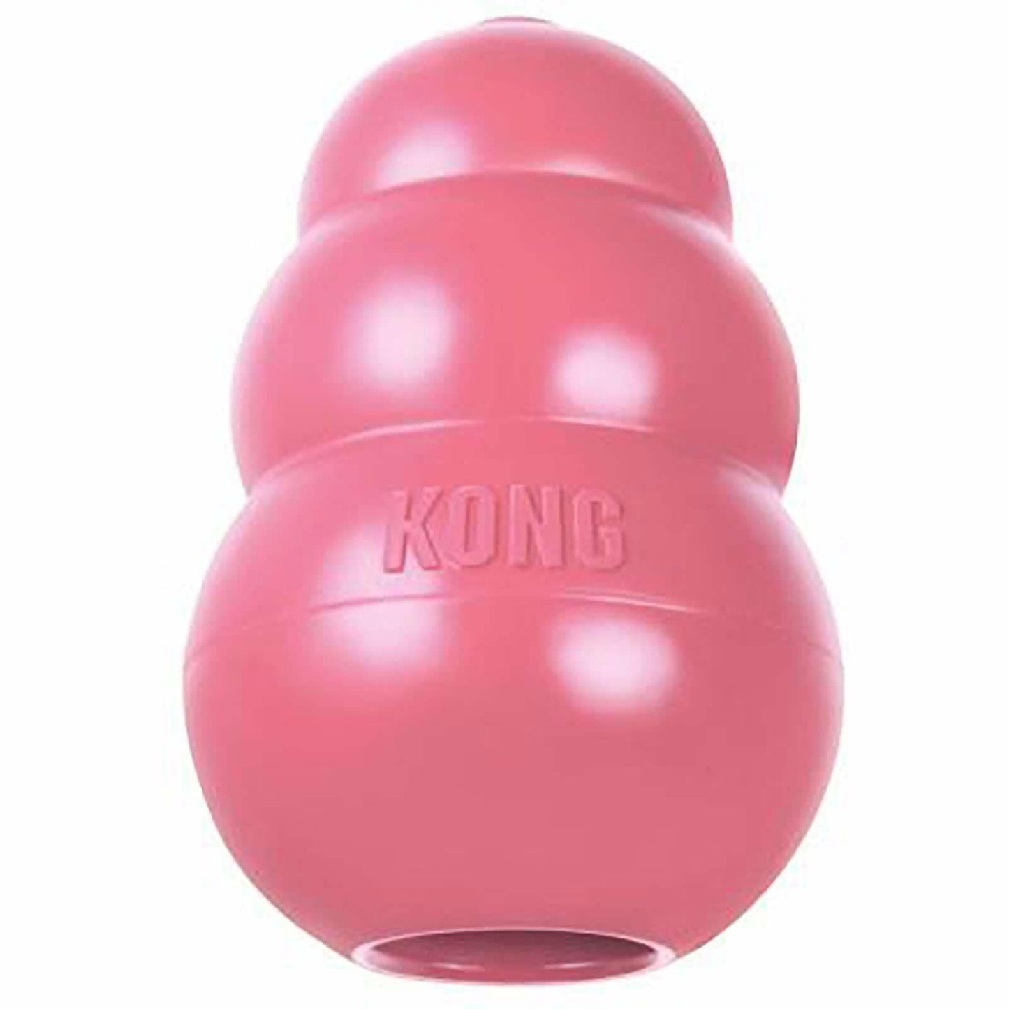 Kong Puppy medium