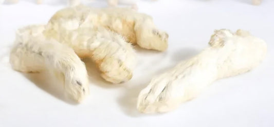 Rabbit Feet