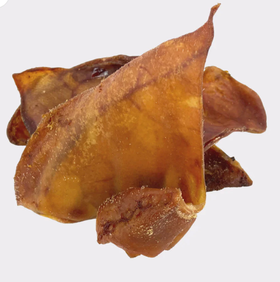 Small pigs ear