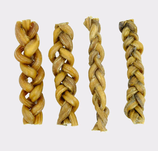 24cm Braided Pizzle