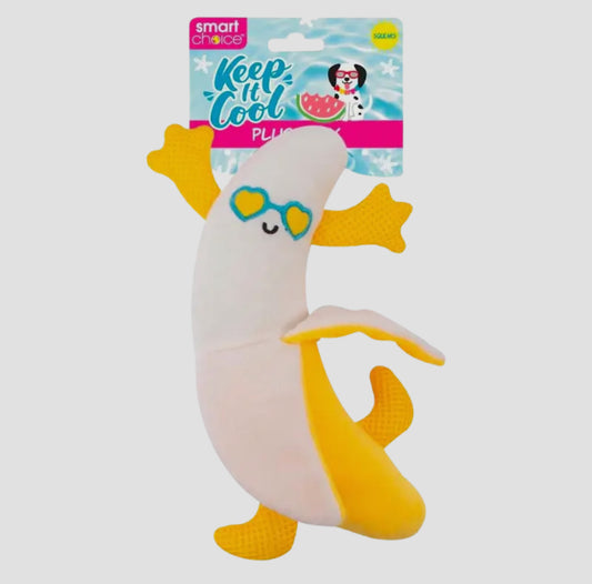 WufWuf & Smart Choice Banana Plush Dog Toy with Squeaker