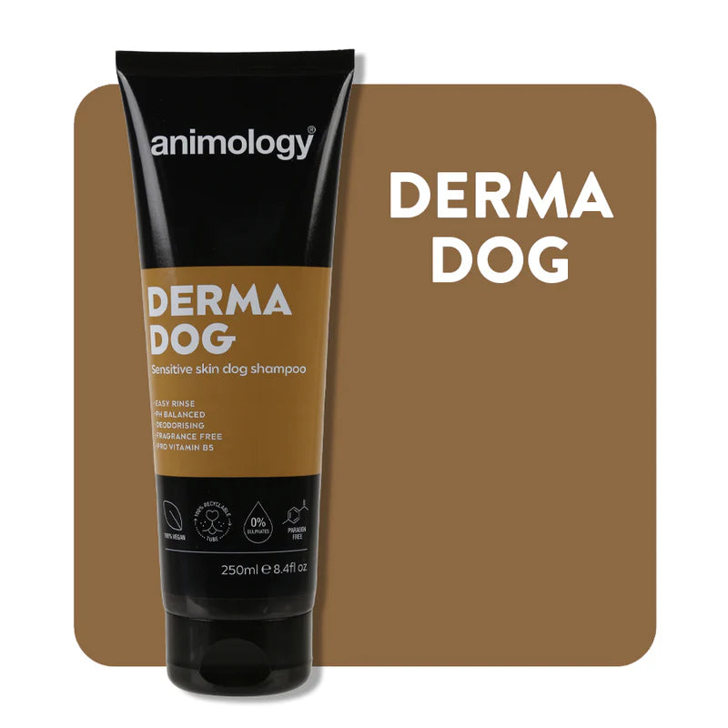 Animology derma shampoo