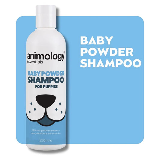 Animology baby powder shampoo