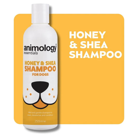 Animology honey & shea shampoo