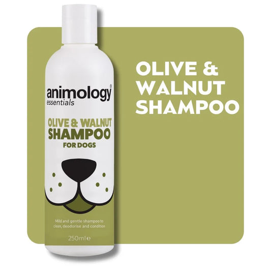 Animology olive & walnut shampoo