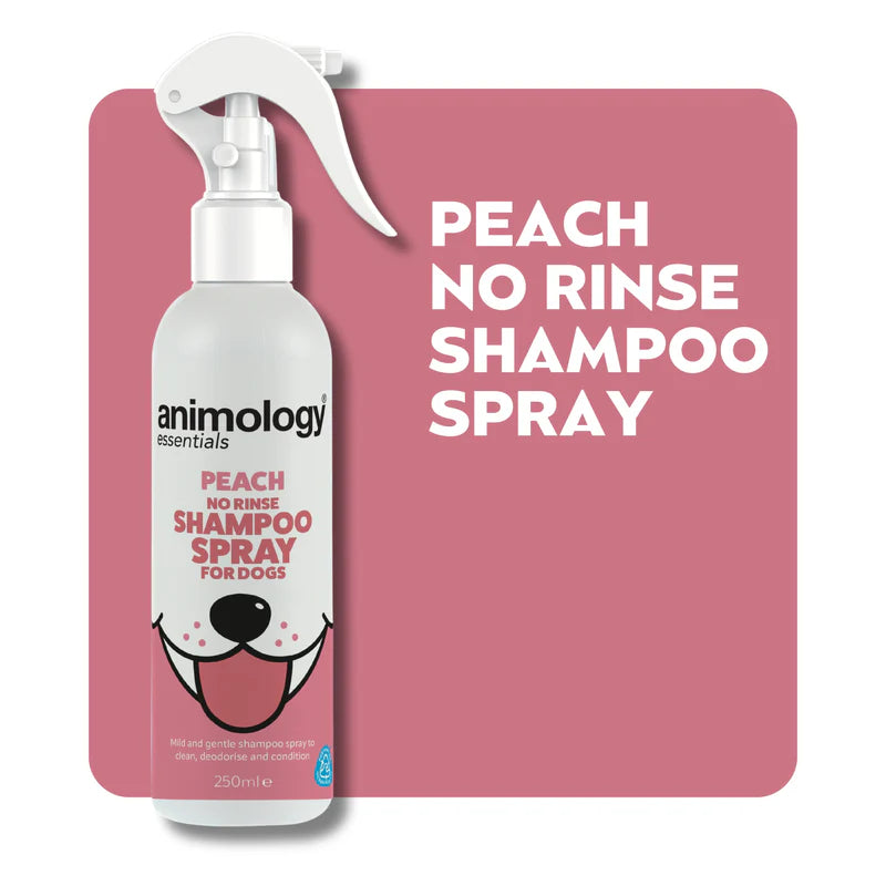 Animology peach no rinse shampoo