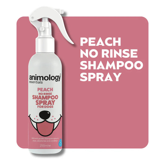 Animology peach no rinse shampoo