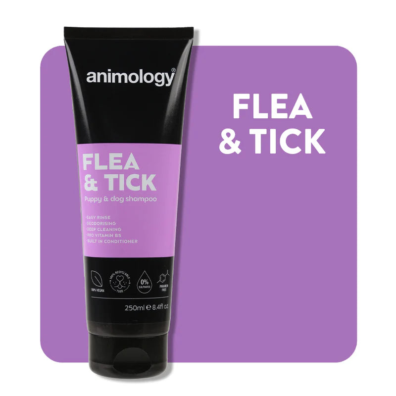 Animology flea & tick shampoo